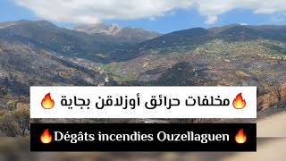 21 juillet 2024 🔥مخلفات حرائق أوزلاقن بجاية 🔥Dégâts incendies Ouzellaguen Bejaia [upl. by Chapell201]