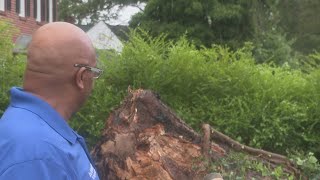 Tree falls narrowly missing home in WinstonSalem [upl. by Skelly541]