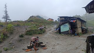 Best Nepali Himalayan Village Life in Rainy Season  Most Peaceful And Relaxing Himalayan Life [upl. by Annoel]