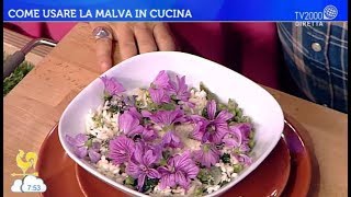 La malva in cucina proprietà e benefici [upl. by Suravat]