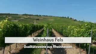 Wein RheinlandPfalz Weingut Bad Kreuznach Winzer RheinlandPfalz Weinhaus Fels [upl. by Akilam370]