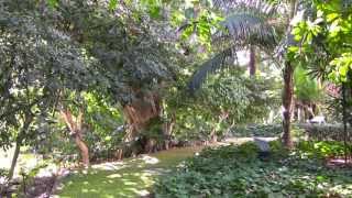 Jardín BotánicoHistórico La Concepción Málaga [upl. by Gessner]