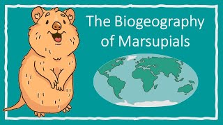 The Biogeography of Marsupials [upl. by Ardnas]