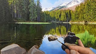 Lake Reflections Oil Painting  Time Lapse  Episode 175 [upl. by Eiluj]