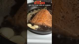 Perfect Pan Fried Salmon  Easy Crispy and Delicious Salmon Recipe  salmonallrecipes [upl. by Nodnorb]