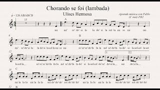 CHORANDO SE FOI  LAMBADA PB2 flauta violín oboe partitura con playback [upl. by Cirdahc]