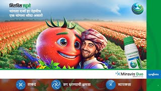 Syngenta  Miravis Duo  Tomato  MOA  Marathi [upl. by Wirth391]