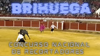 BRIHUEGA ➡️ GUADALAJARA  CONCURSO NACIONAL DE RECORTADORES 🇪🇦🏆 [upl. by Edgardo]