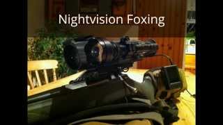 Nightvision Fox shooting [upl. by Petuu]