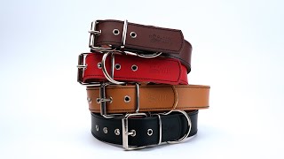 Premium Leather Dog Collars with AntiParasite Insert  Pet Product Showcase [upl. by Ailla]