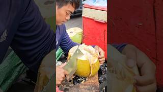 The Hardest Coconut Fruit Cutting Skills [upl. by Arahsit]