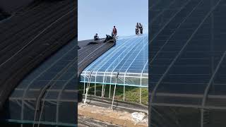 Installation process of black insulation layer for greenhouse [upl. by Sirdna]