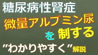 糖尿病性腎症で重要なキーワードである微量アルブミン尿について、一般素人学生がわかりやすく解説する 20200420 [upl. by Lebatsirc]