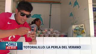 Totoralillo La perla del verano en la cuarta región  24 Horas TVN Chile [upl. by Rihaz]