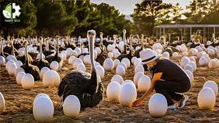 Discovering Rare Egg Harvests From Snail Ostrich to Sea Urchin – Turning Snail Eggs into Caviar🐌🥚✨ [upl. by Jourdain]