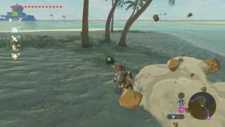 Astuce Zelda Breath of the Wild  Travaux de restauration [upl. by Smiley329]