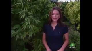 Marijuana Inc Inside Americas Pot Industry  CNBC [upl. by Nealon383]