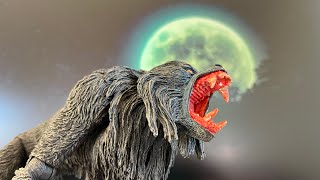 Beware The Full MoonHalloween Werewolf Stop Motion [upl. by Elleynod665]