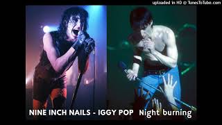 NINE INCH NAILS  IGGY POP Night burning mashup by DoM [upl. by Maller]