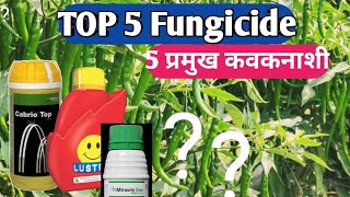 TOP 5 Fungicide  5 Best Fungicide  luster  miravis Duo  cabriotop  BASF Merivon  conika fungi [upl. by Torto]