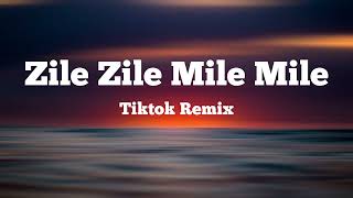 zile zile mile mile tiktok remix song [upl. by Friedly]