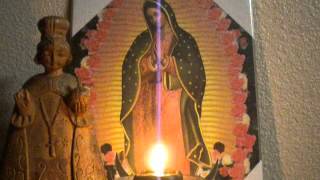 La GuadalupanaEnglish version with lyricsCOVERS [upl. by Ellennaj]