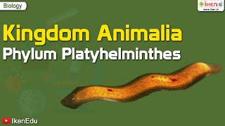 Kingdom Animalia Phylum Platyhelminthes  Biology  iKen  iKenEdu  iKenApp [upl. by Ainnos]