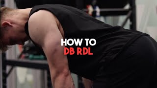 HOW TO  DUMBBELL RDL [upl. by Ahsiekit100]