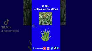 Aloe Vera Plante [upl. by Ohploda]