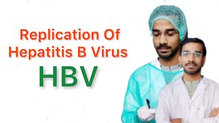 Replication of Hepatitis B Virus HBV [upl. by Aidualk]