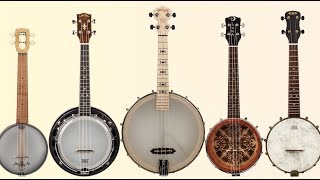 Review Banjo Ukes from Deering Kala Luna Gold Tone and Magic Fluke [upl. by Veejar]