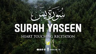 The most beautiful recitation of Surah Yasin Yaseen سورة يس ⋮ Zikrullah TV [upl. by Eiramanin]