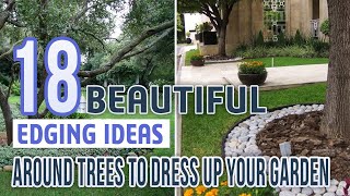 18 Beautiful Edging Ideas Around Trees To Dress Up Your Garden [upl. by Rramed]