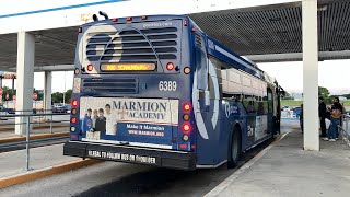 Pace 2013 Eldorado National Axess BRT Bus Ride Bus 6389 on Route 603 to Rosemont CTA Station [upl. by Wittie]