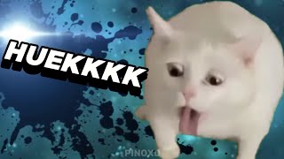 Everyone joins the battle meme  cat  3 [upl. by Drofiar]