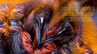 OBT Enclosure Build and Unboxing [upl. by Ellienad]