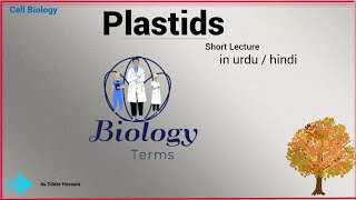 Plastids Short Lecture  Plastid Class 9 11  Chloroplast Structure in Urdu\Hindi [upl. by Htenek]