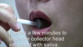 OralAQ Saliva Drug Test  How to [upl. by Perr]