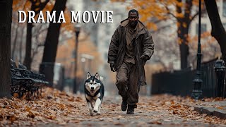 Full movie drama  A meeting that changed their lives  Adventure comedy best movies🎬🎥 [upl. by Cathrin965]