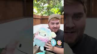 Unboxing another Squishmallow mysterybox plushies plushiedesign squishmallows shorts [upl. by Etnovad]