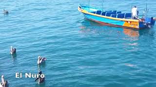 A Video Tour of Mancora Peru [upl. by Aneelehs]