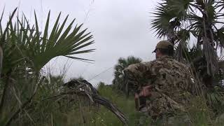 Helicopter almost ruins Hartebeest hunt [upl. by Abraham]