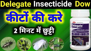 Delegate Insecticide Delegate Insecticide uses in hindi डेलीगेट कीटनाशक Bajrang Beej Bhandar [upl. by Bigner828]