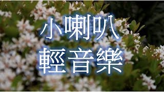 小喇叭 輕音樂 放鬆解壓 Relaxing Chinese Music [upl. by Nitsraek458]