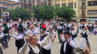 Tafalla desfile Dantzaris veteranos de Navarra 6 octubre 2024 [upl. by Gillie]