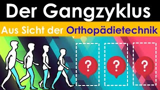 Der Gangzyklus aus Sicht der Orthopädietechnik [upl. by Felise]