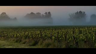 Four Seasons at Château Méaume wine vineyard winemaking  seasons [upl. by Krasnoff]