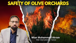 Safety of Olive Orchards 🔥 [upl. by Shandeigh]