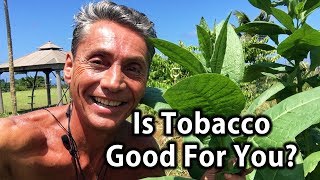 Is Tobacco Good For You  Tip Of The Day  Dr Robert Cassar [upl. by Ennaira]