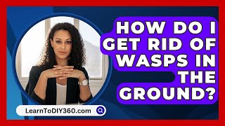 How Do I Get Rid of Wasps in the Ground  LearnToDIY360com [upl. by Gwenora930]